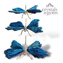 Load image into Gallery viewer, Kyanite Dragonfly