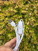 Load image into Gallery viewer, Large Colour USB Crystal Display Lightbox