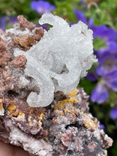 Load image into Gallery viewer, Rams Horn Gypsum Crystal Specimen