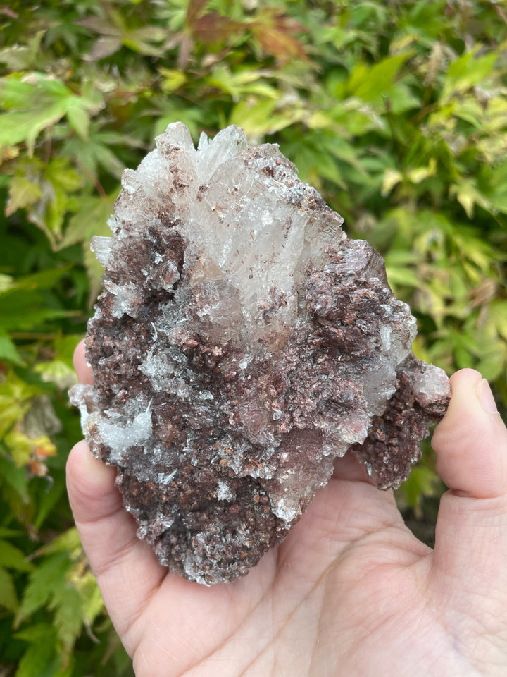 Gypsum and Calcite Specimen