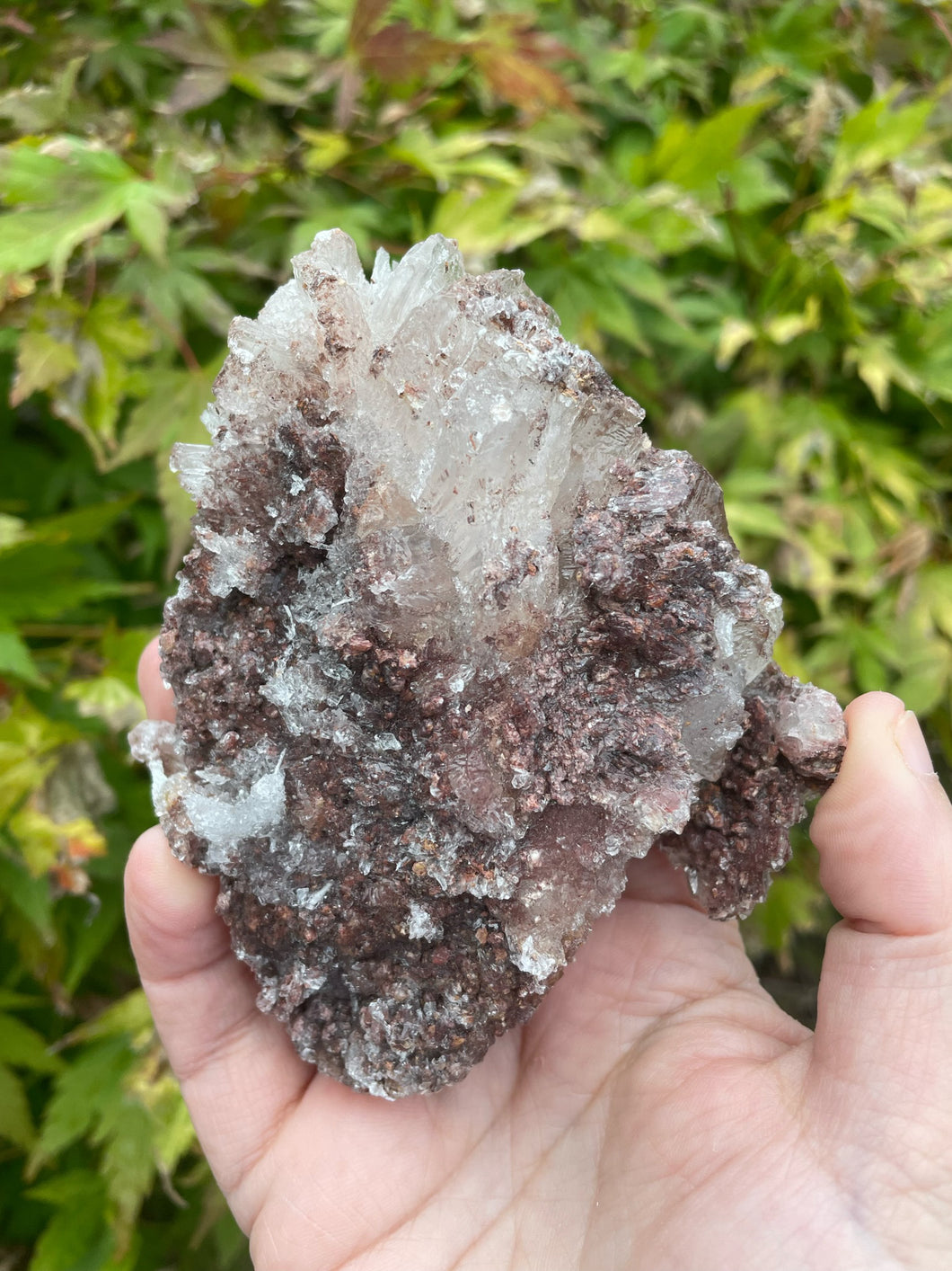 Gypsum and Calcite Specimen