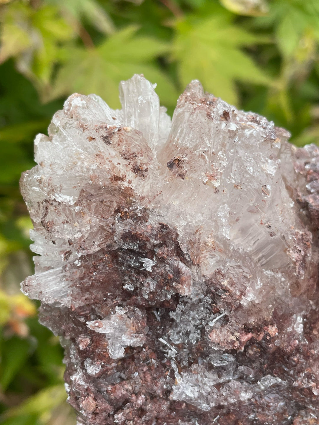 Gypsum and Calcite Specimen