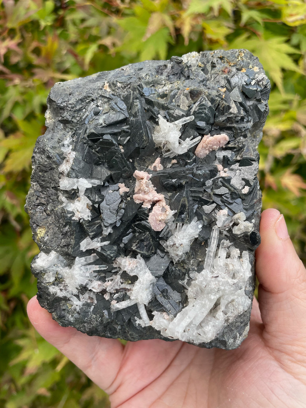 Galena, Quartz, Rhodochrosite and Pyrite