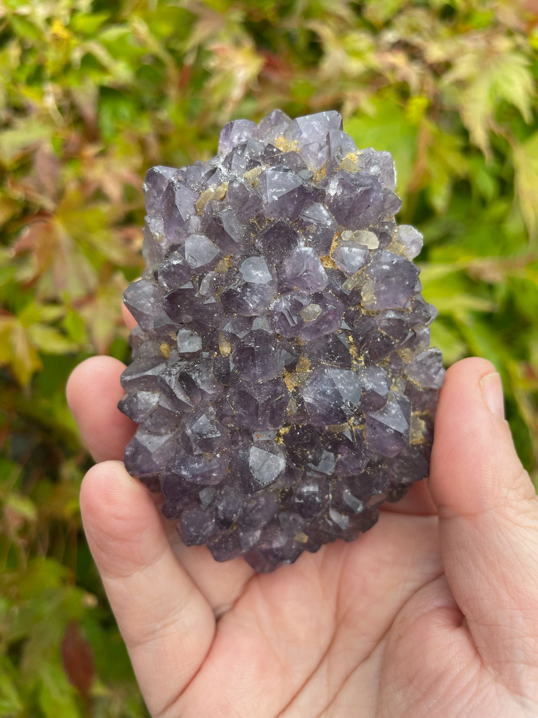 Amethyst stalactite Cluster Specimen