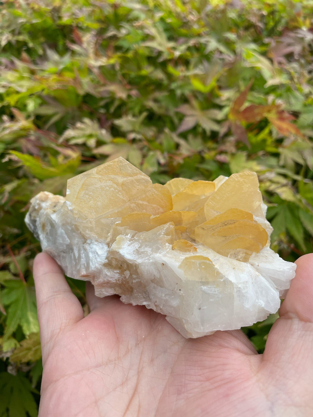 Yellow calcite flakes on Quartz Specimen