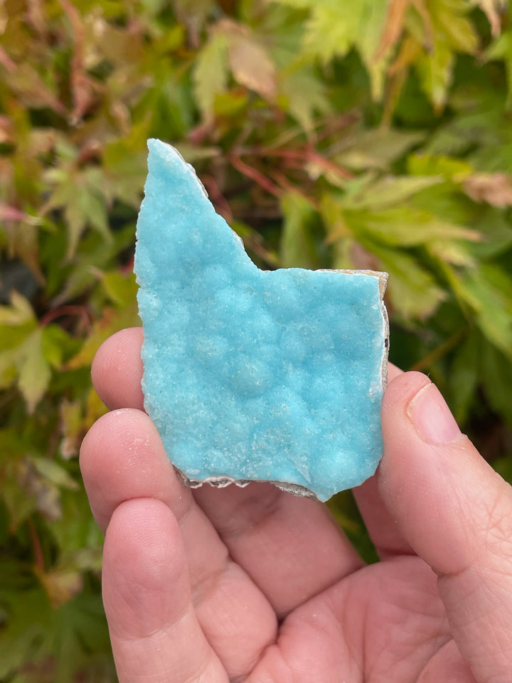 Vibrant Hemimorphite Floater Crystal Specimen