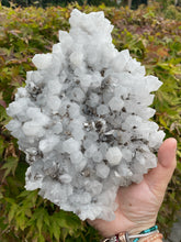 Load image into Gallery viewer, Quartz and Calcite Statement Specimen
