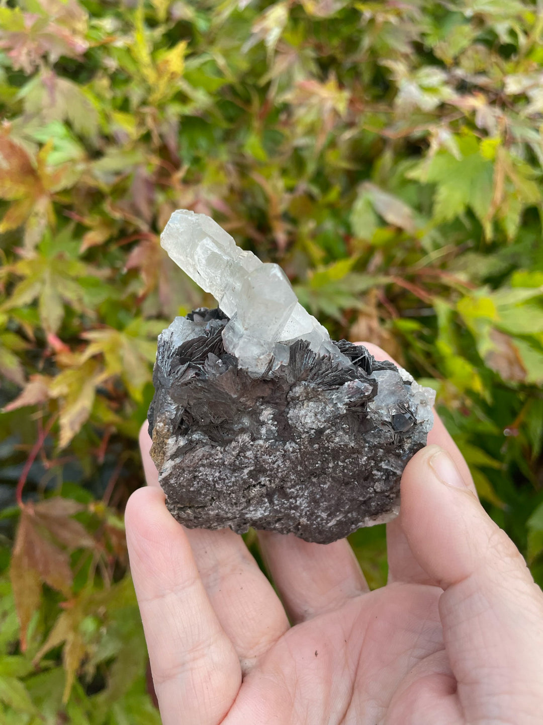 Quartz and Specular Hematite Specimen