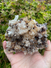Load image into Gallery viewer, Rams Horn Gypsum Specimen
