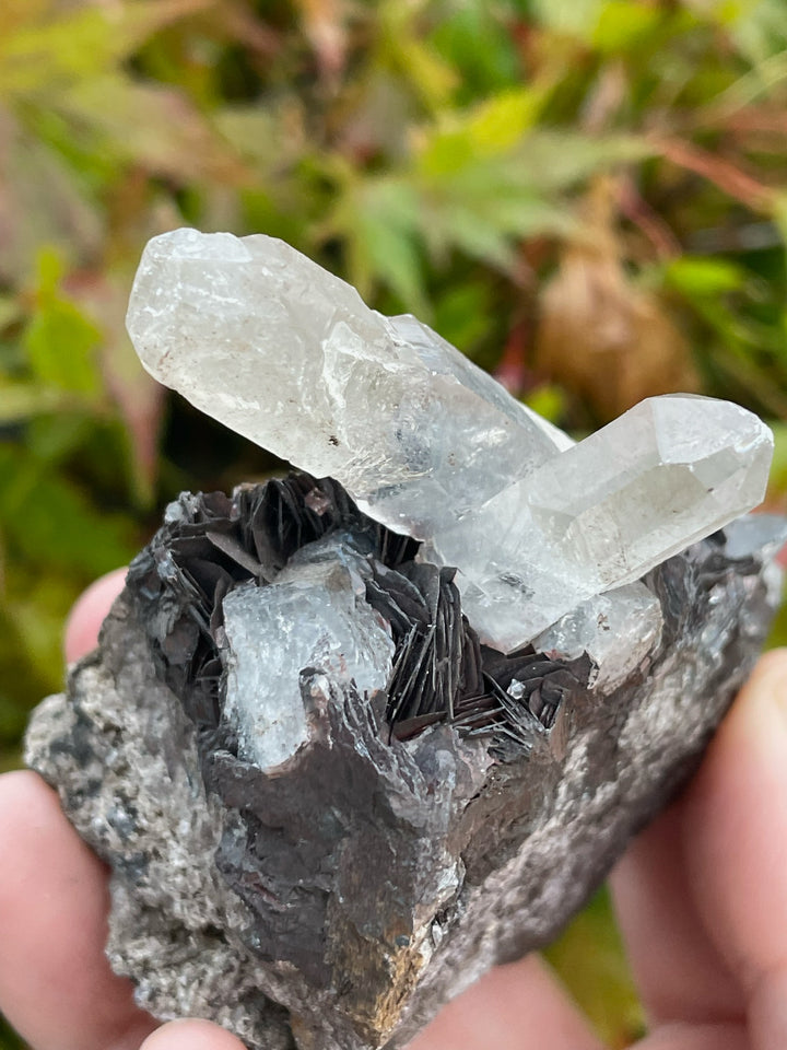 Quartz and Specular Hematite Specimen