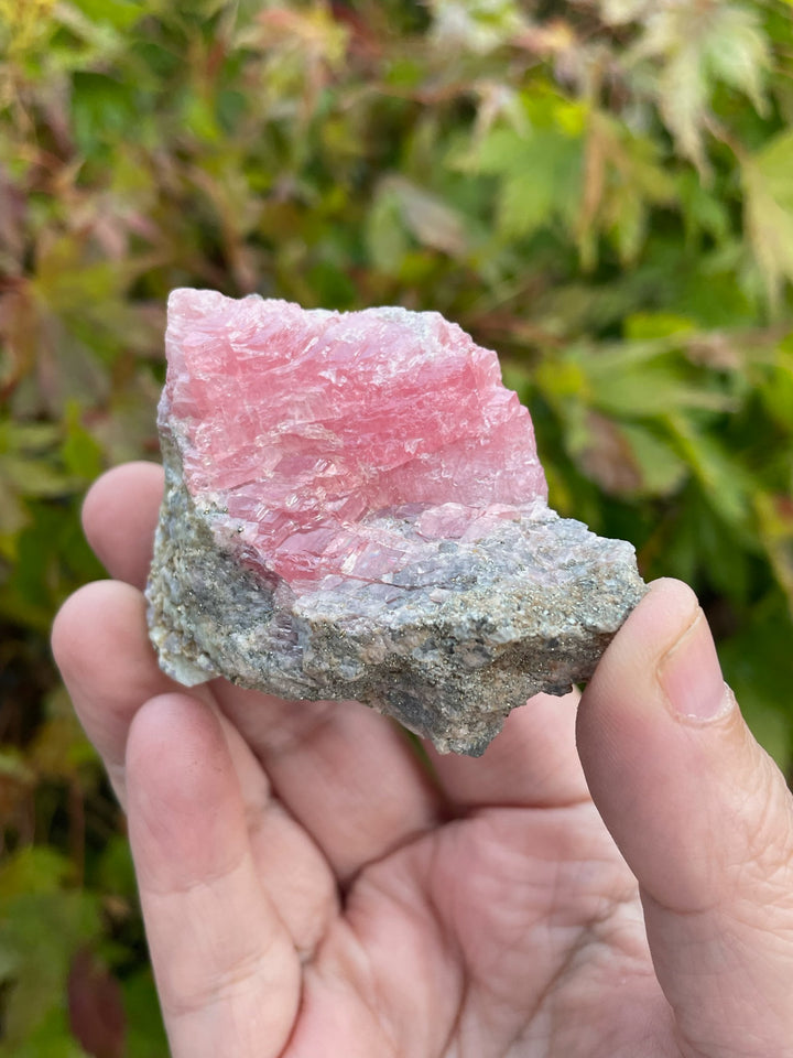 Gemmy Rhodochrosite and Pyrite Specimen