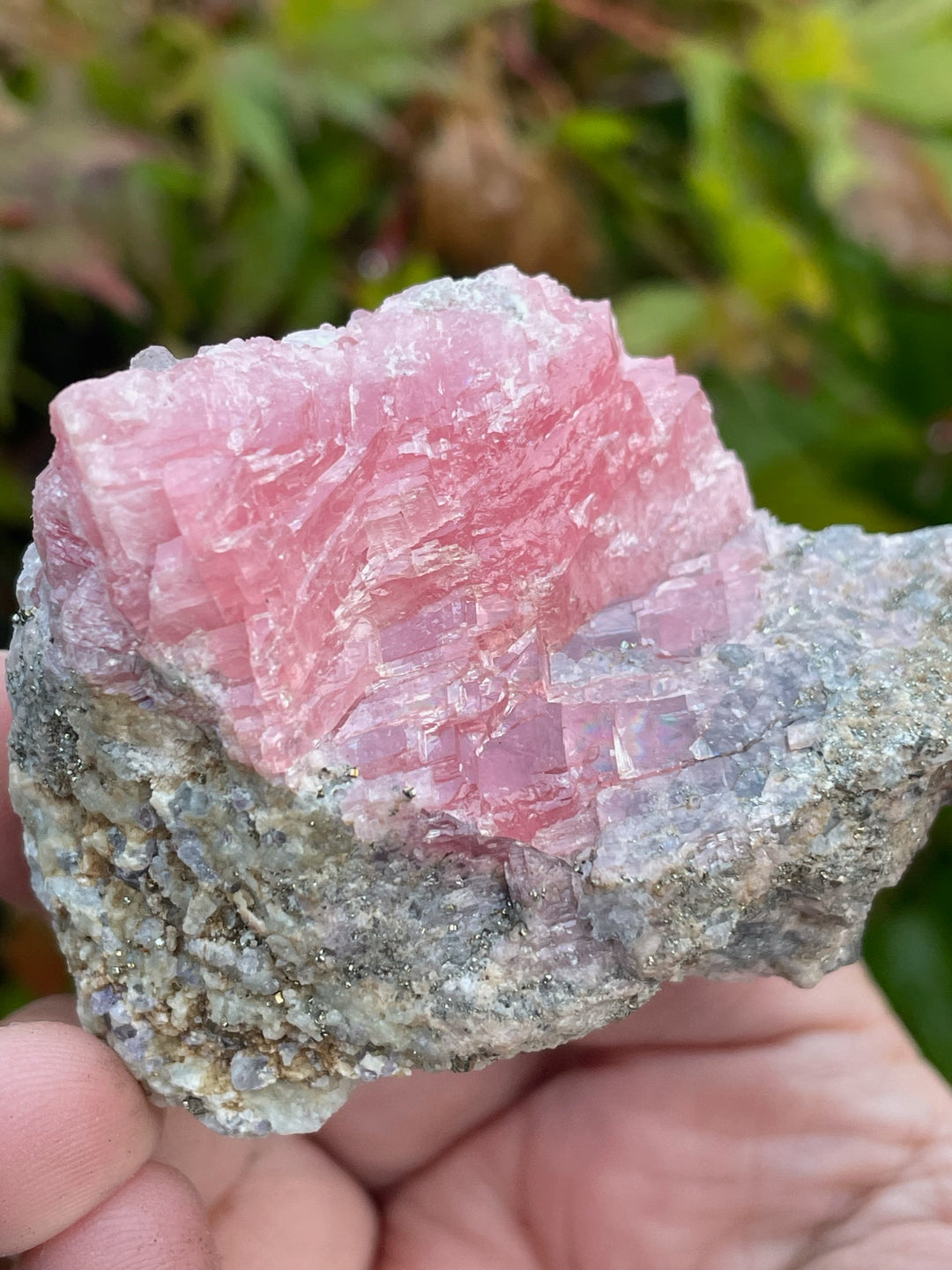 Gemmy Rhodochrosite and Pyrite Specimen