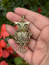 Load image into Gallery viewer, Owl Tumblestone Cage Pendant
