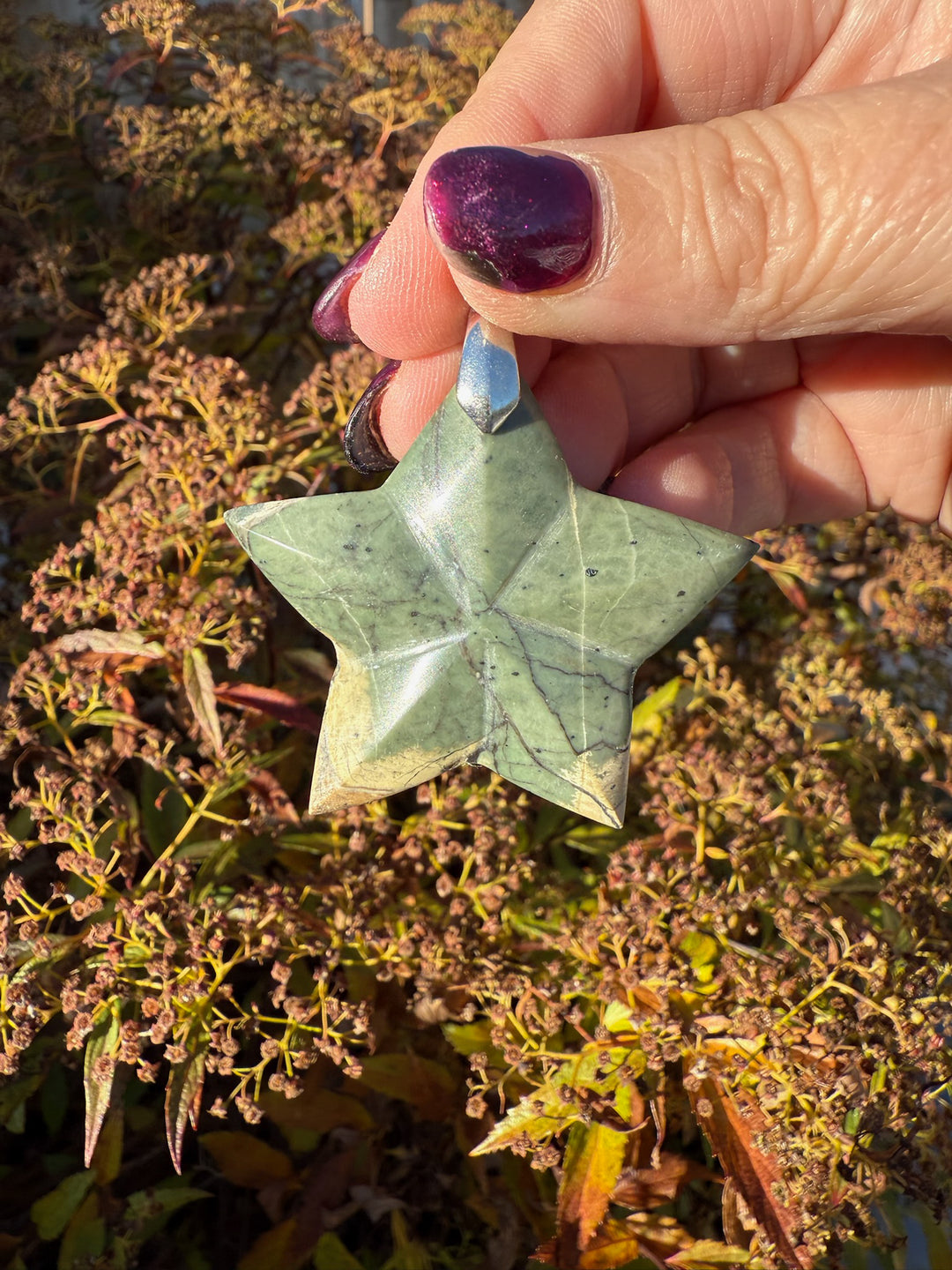 Serpentine Star Pendant