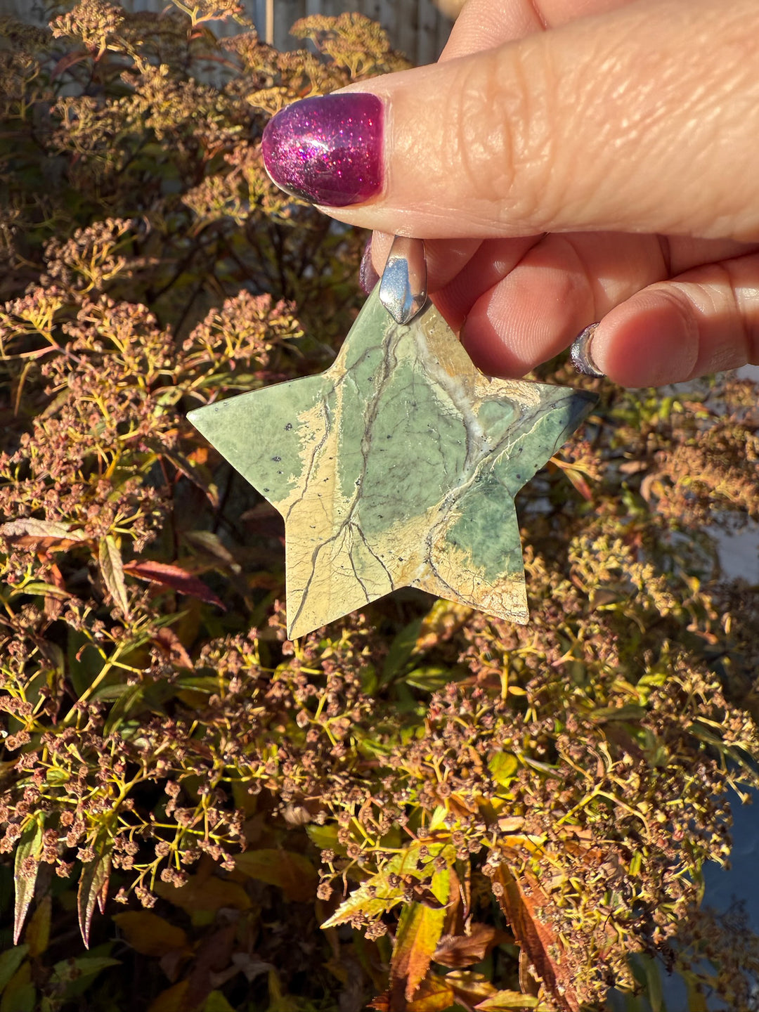 Serpentine Star Pendant