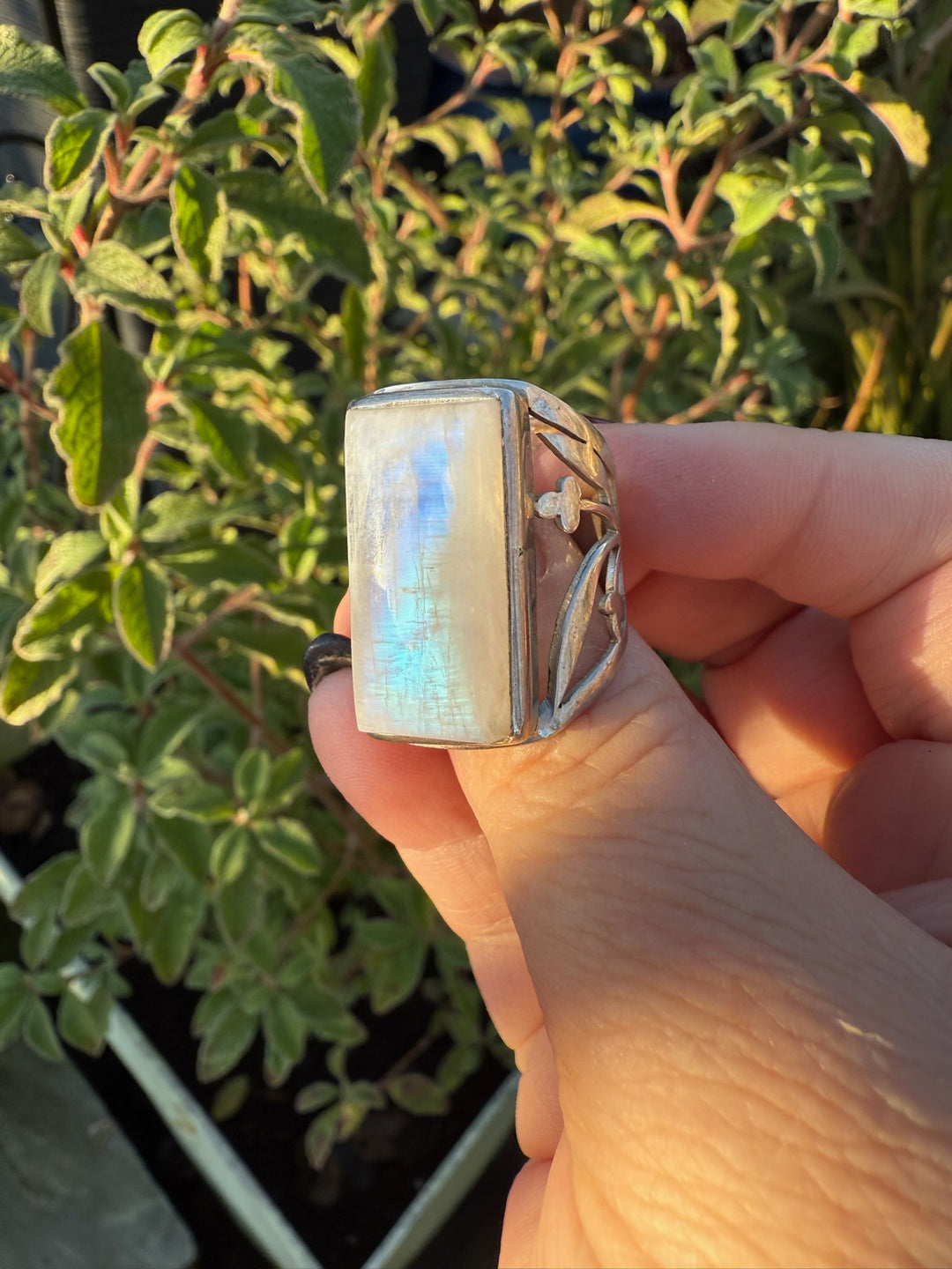 Blue Flash Moonstone Silver Ring Size S or 9.5
