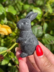 Obsidian Rabbit