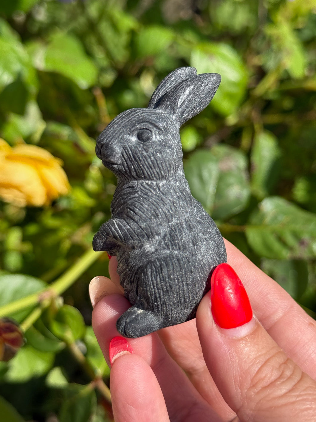 Obsidian Rabbit