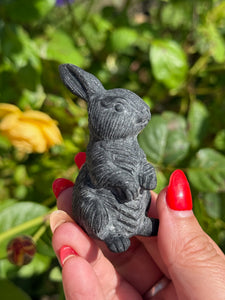 Obsidian Rabbit