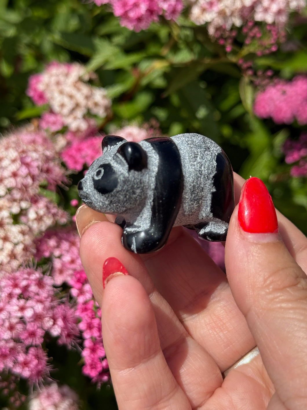 Obsidian Panda