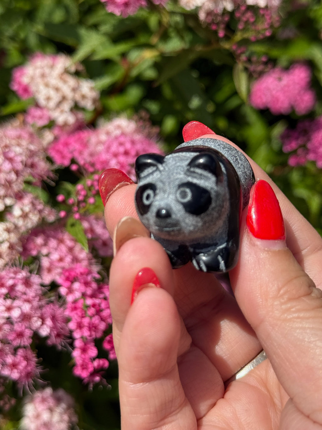Obsidian Panda