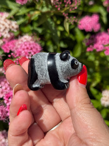 Obsidian Panda