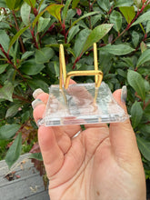 Load image into Gallery viewer, Heart or Specimen Holder Stand

