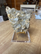 Load image into Gallery viewer, Heart or Specimen Holder Stand
