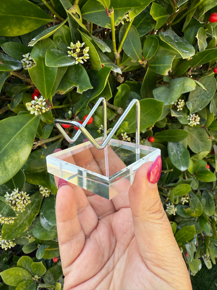 Heart or Specimen Stand Holder