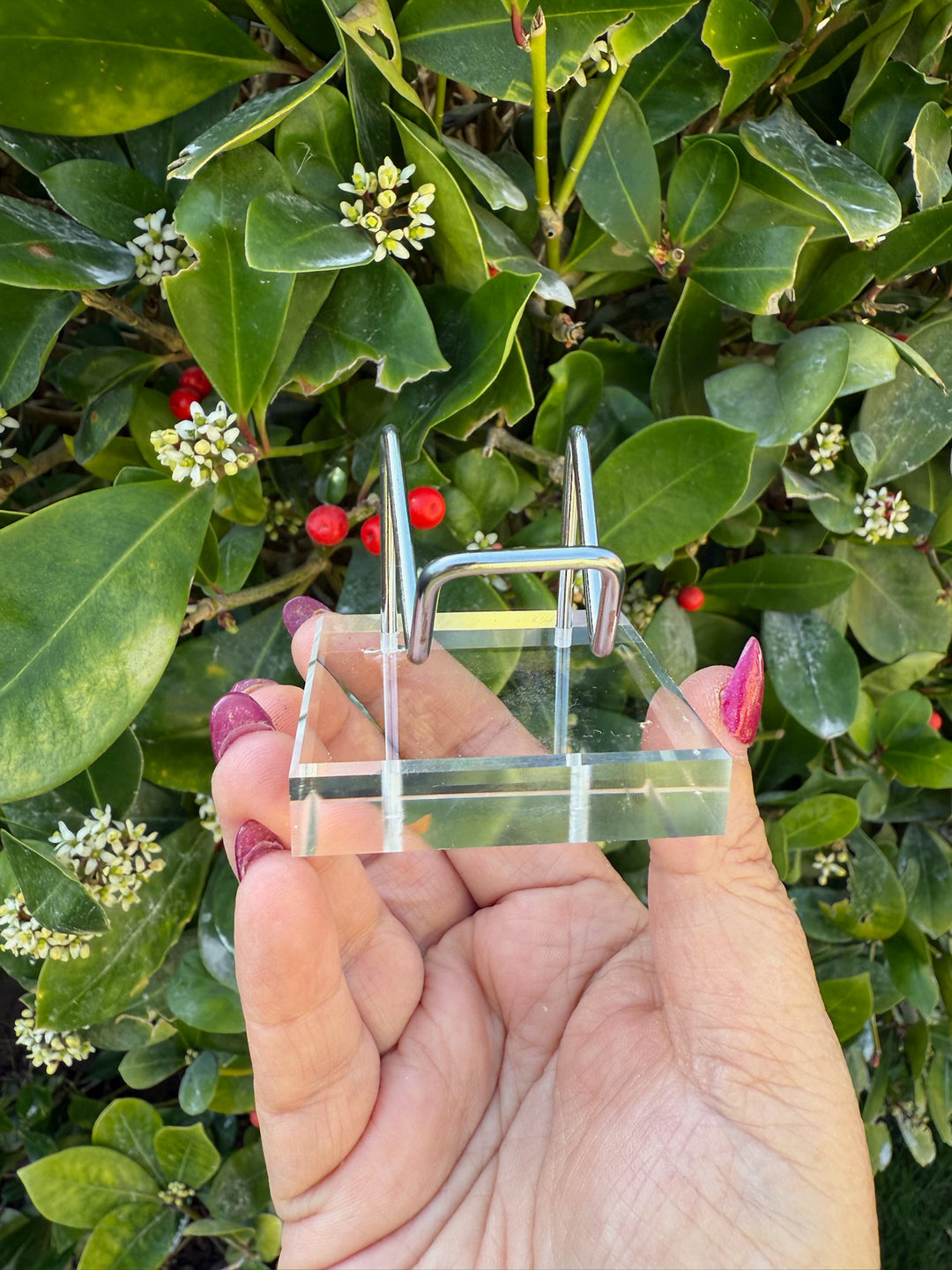 Heart or Specimen Stand Holder