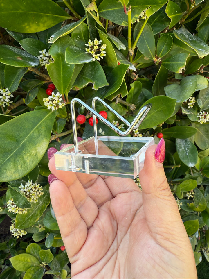 Heart or Specimen Stand Holder
