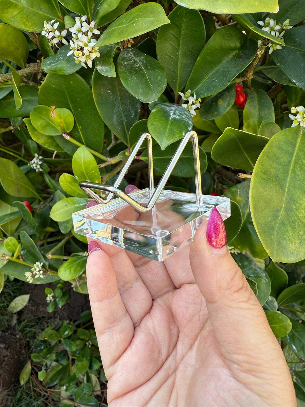 Heart or Specimen Stand Holder