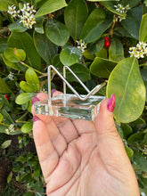 Load image into Gallery viewer, Heart or Specimen Stand Holder
