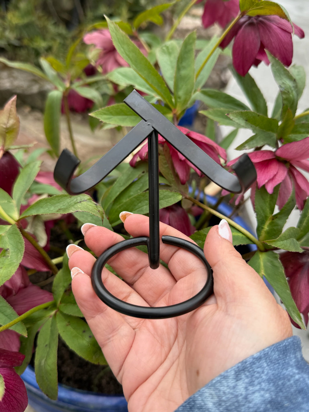Black Metal Heart or Specimen Stand