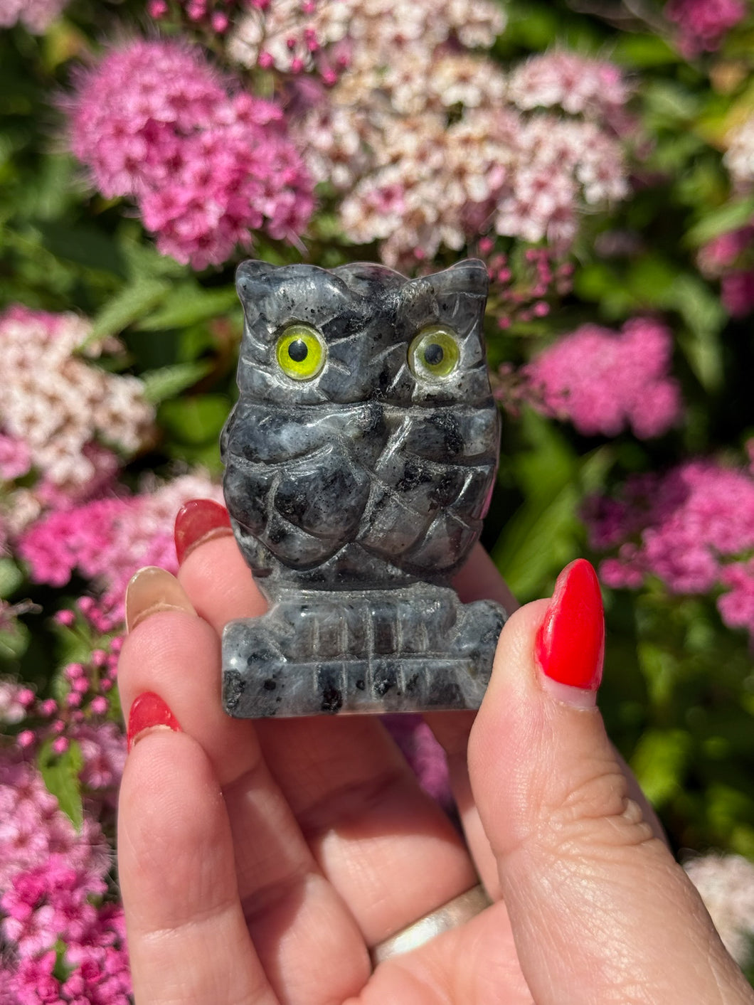 Labradorite Carved Owl