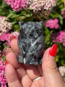 Labradorite Carved Owl