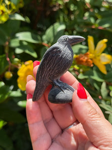 Obsidian Raven