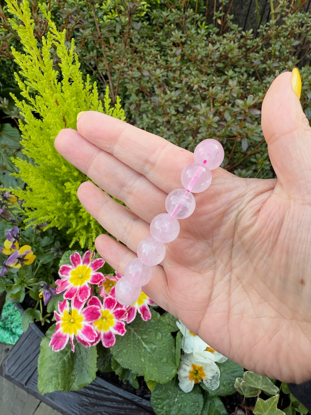 Rose Quartz 12mm Bead Bracelet