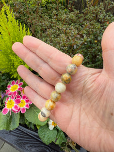 Crazy Lace Agate Bracelet 10mm Beads
