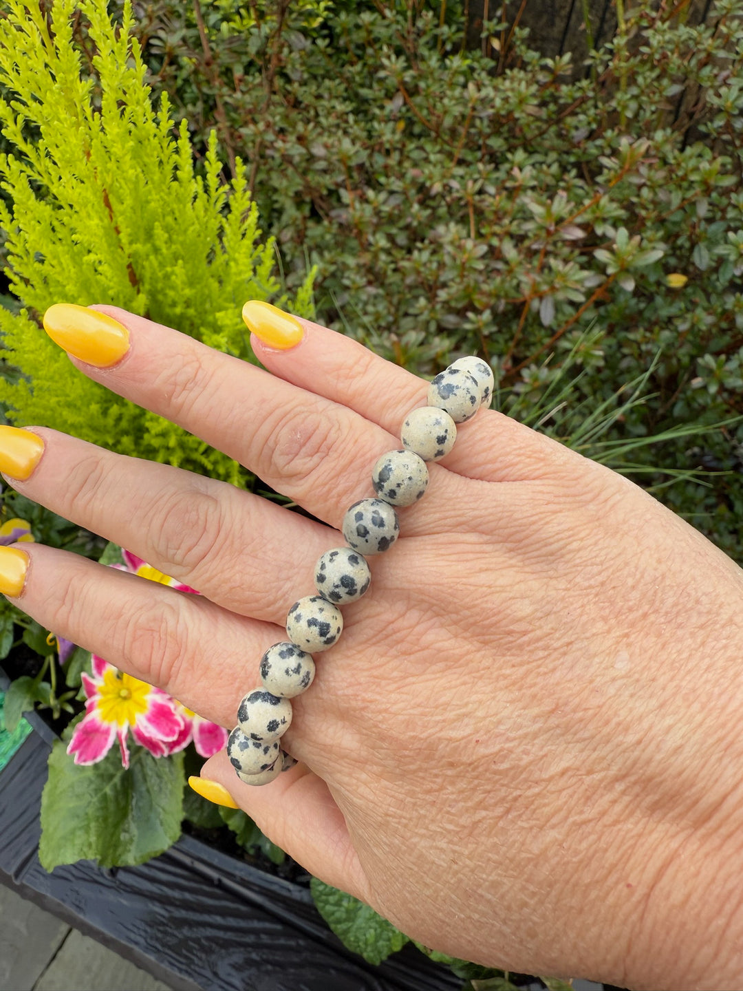 Dalmation Jasper Bracelet 8mm Beads