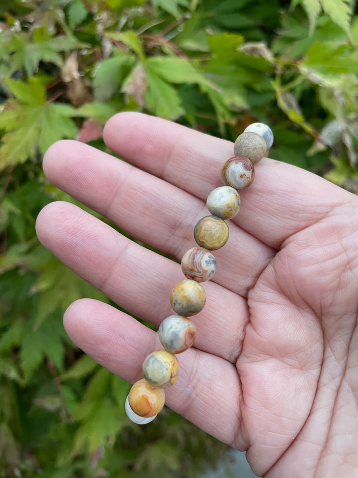 Crazy Lace Agate Bracelet 8mm Beads