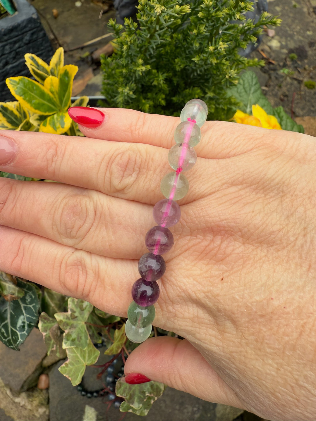 Rainbow Fluorite Bracelet 8mm