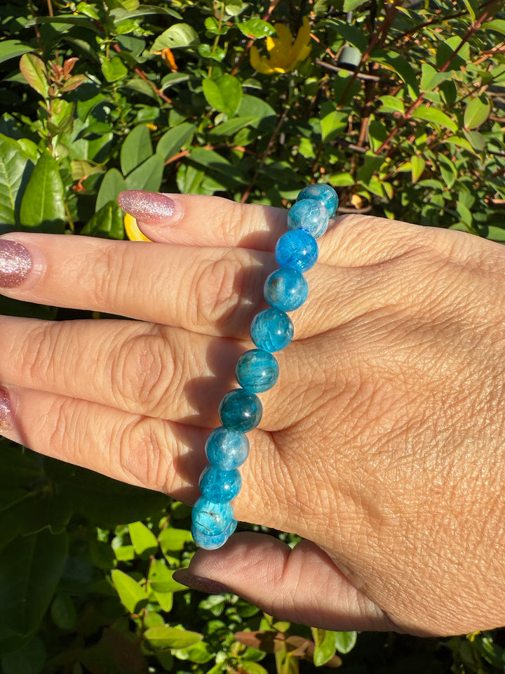 High Quality Apatite Bracelets 8mm Beads