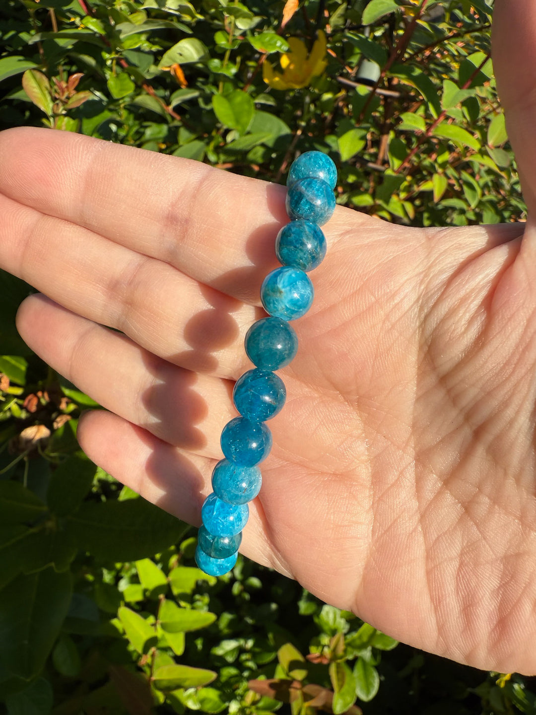 High Quality Apatite Bracelets 8mm Beads