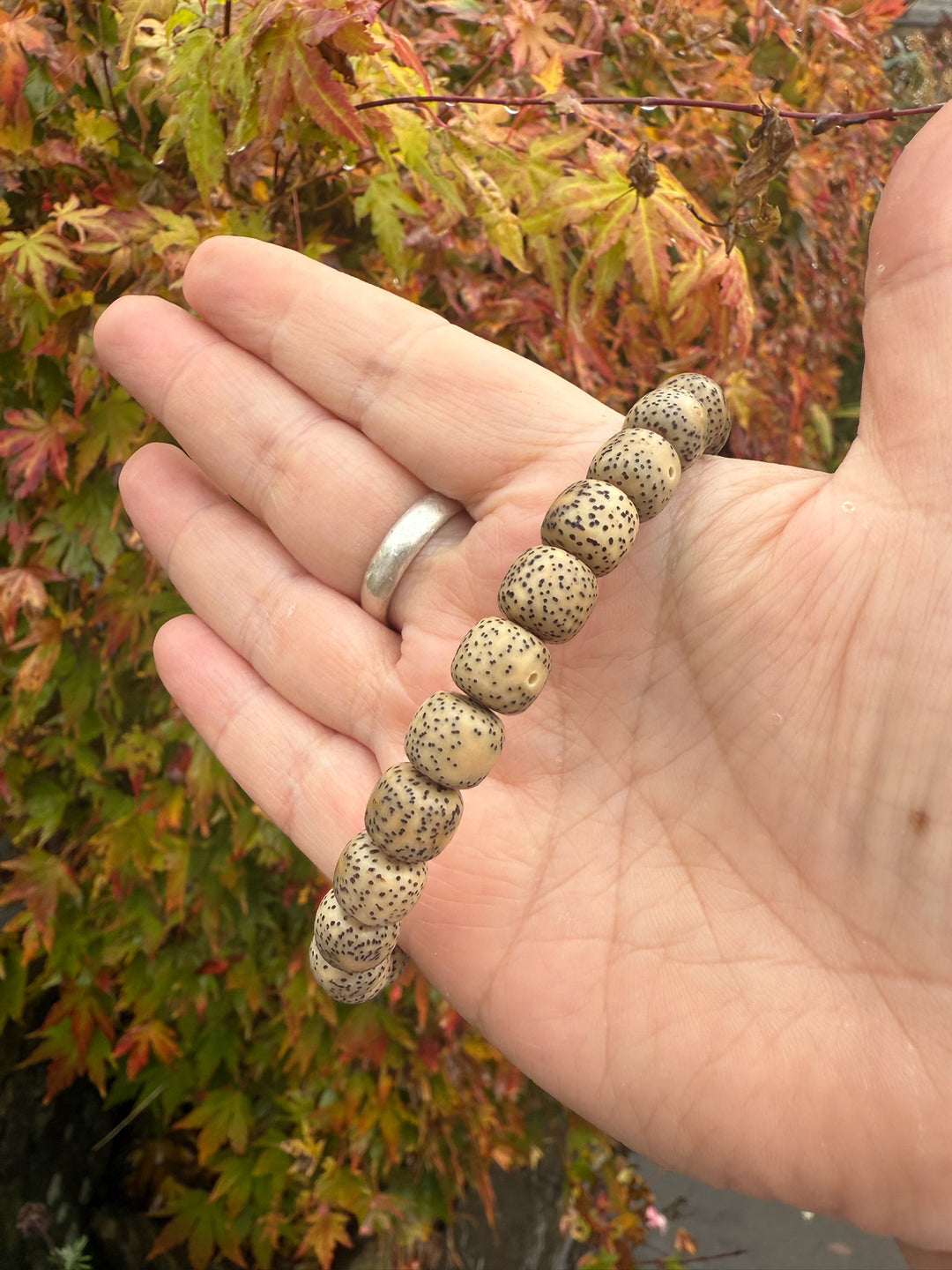 Tibetan Bohdi Bead Bracelet 8mm Bead