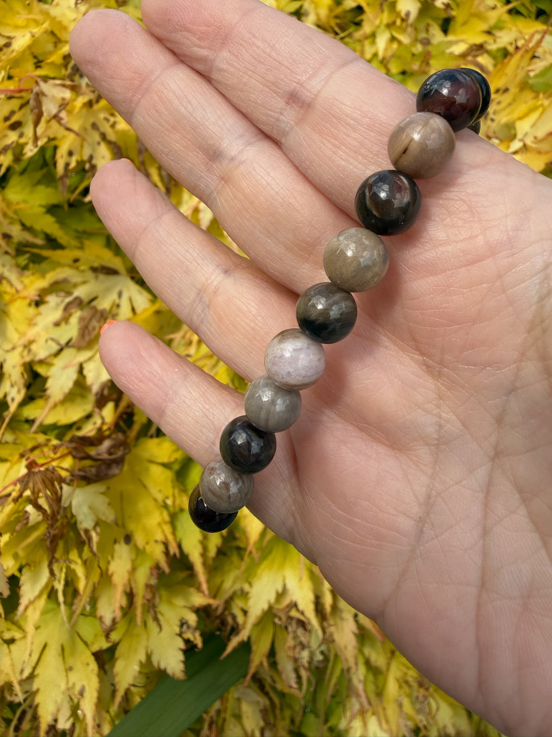 Petrified Wood Bracelet 8mm Beads