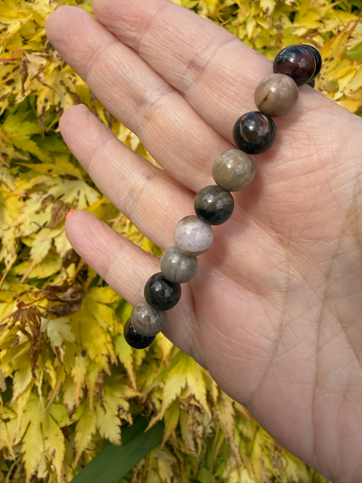 Petrified Wood Bracelet 8mm Beads