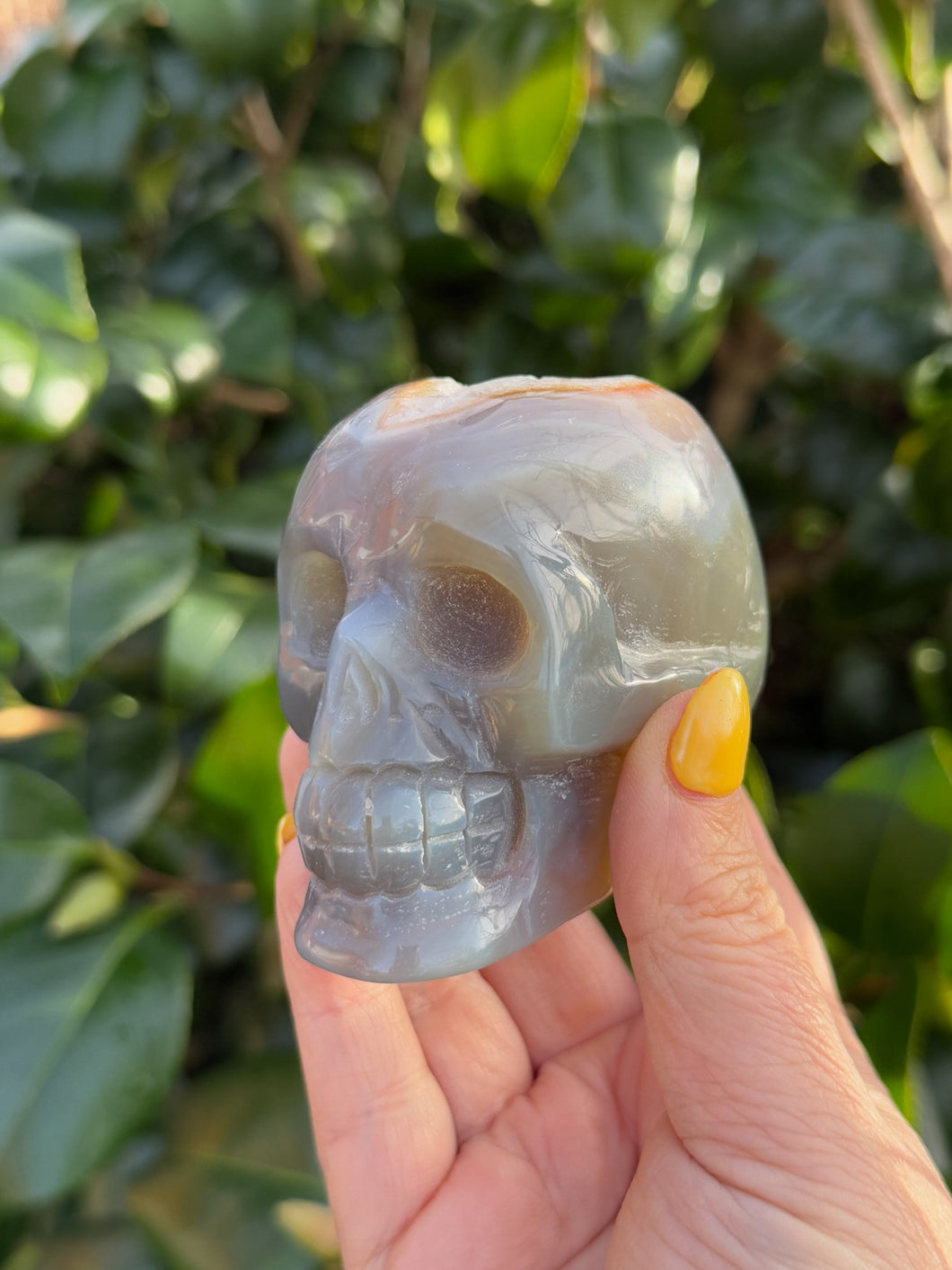 Agate Skull with Druze