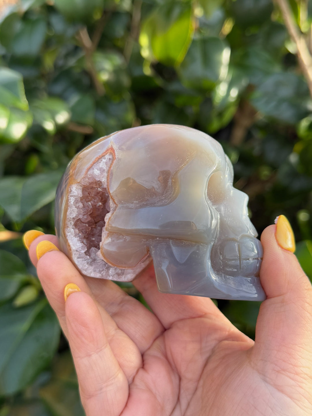 Agate Skull with Druze