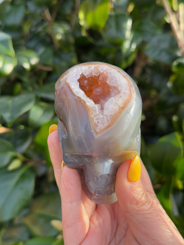 Agate Skull with Druze